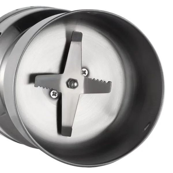 RAF Stainless Steel Electric Dry Mill Masala Spice and Coffee Grinder 300W with Stainless Steel Blade